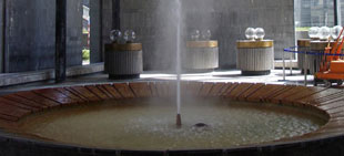 KIDNEY & URINARY TRACT TREATMENTS